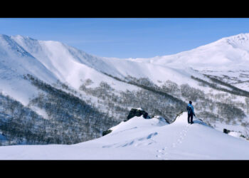 Zentrale Ermittlungsstelle Twitter Überwachung & Meinungsfreiheit